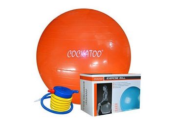 Cockatoo Anti-Burst Gym Ball ( 55 Cm to 95 Cm) with Foot Pump, Exercise Ball at Just Rs.899